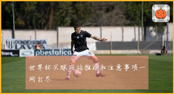 世界杯买球网站推荐和注意事项一网打尽