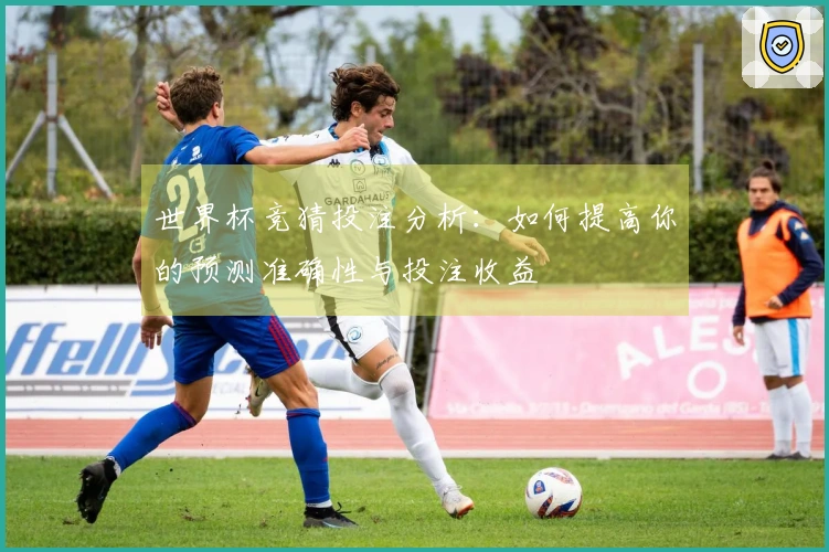 世界杯竞猜投注分析：如何提高你的预测准确性与投注收益
