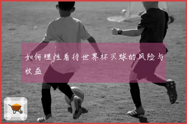 如何理性看待世界杯买球的风险与收益