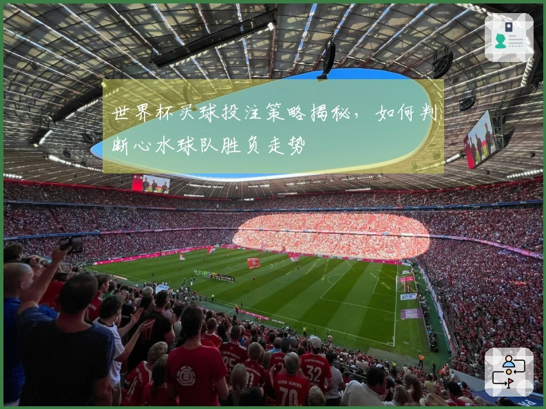 世界杯买球投注策略揭秘，如何判断心水球队胜负走势
