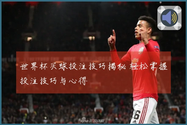 世界杯买球投注技巧揭秘 轻松掌握投注技巧与心得
