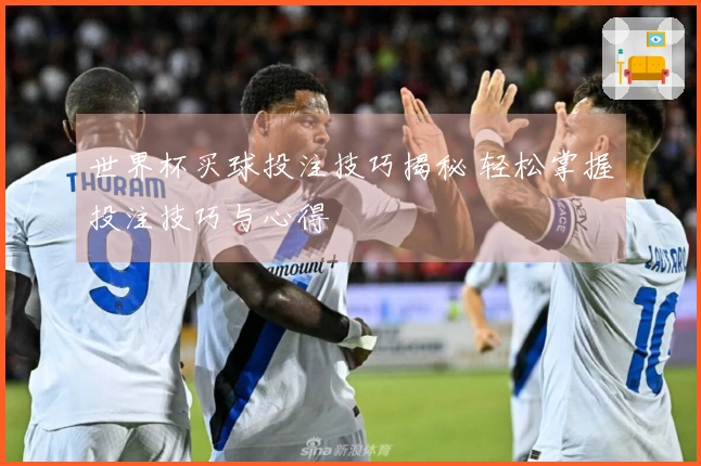 世界杯买球投注技巧揭秘 轻松掌握投注技巧与心得