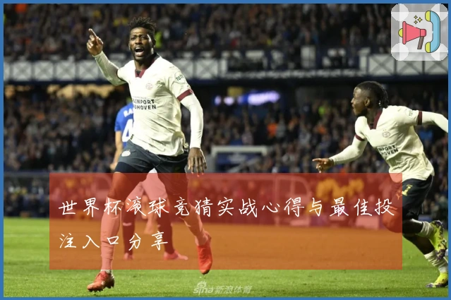 世界杯滚球竞猜实战心得与最佳投注入口分享
